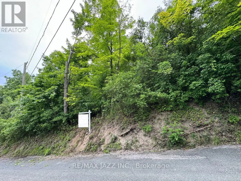 0 Maple Street, Trent Hills, Ontario  K0L 1L0 - Photo 1 - X11958543