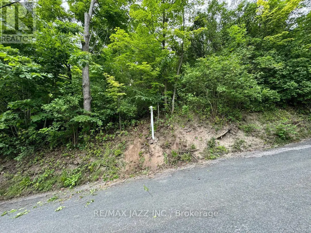 0 Maple Street, Trent Hills, Ontario  K0L 1L0 - Photo 2 - X11958543