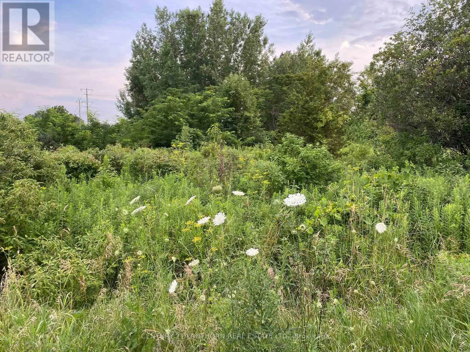 Lot 29 Mcdonald Drive, Prince Edward County, Ontario  K0K 2T0 - Photo 2 - X11961847
