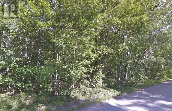 Pt Lt 8 Marble Point Road, Marmora And Lake, Ontario  K0K 2M0 - Photo 3 - X11969329