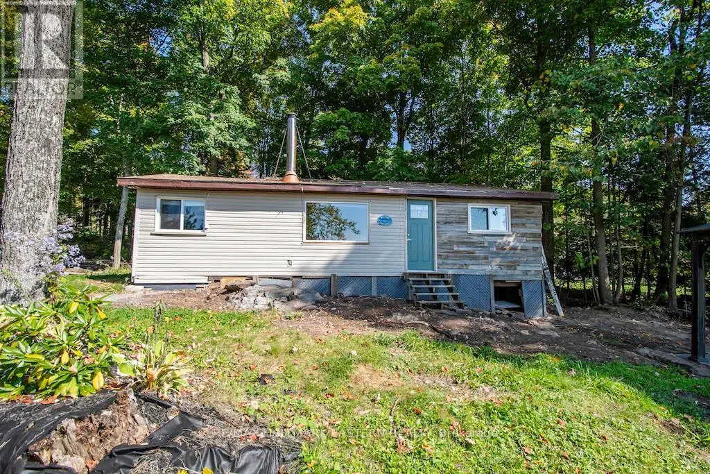 144 Northern Avenue, Trent Lakes, Ontario  K0L 1J0 - Photo 1 - X11986194