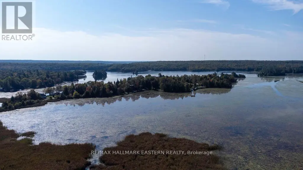 144 Northern Avenue, Trent Lakes, Ontario  K0L 1J0 - Photo 3 - X11986194