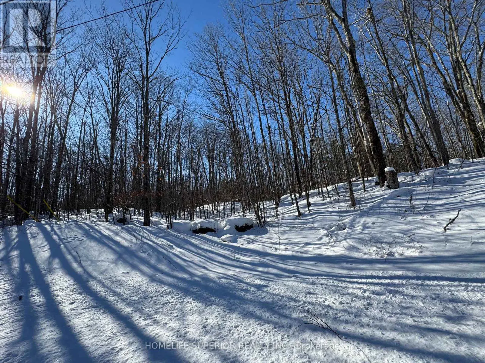 0 N Belmont Conc 10, Havelock-Belmont-Methuen, Ontario  K0L 1Z0 - Photo 2 - X11988350
