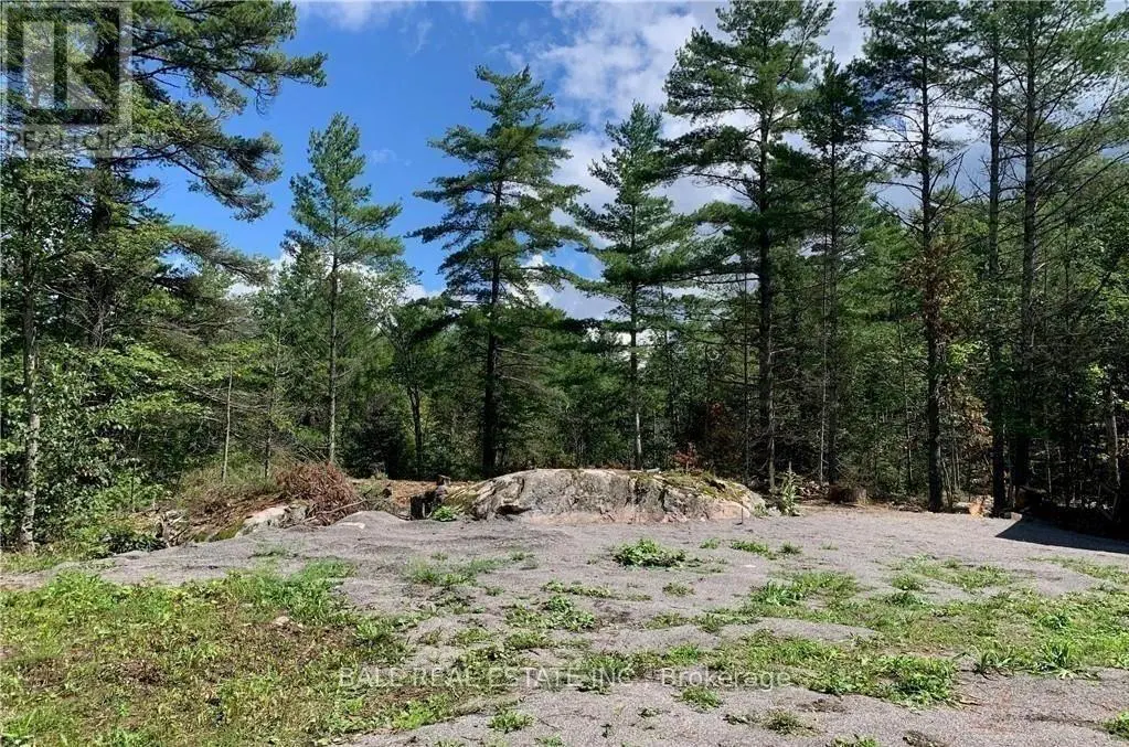 3 Fire Route 81, Trent Lakes, Ontario  K0L 1J0 - Photo 3 - X11989938