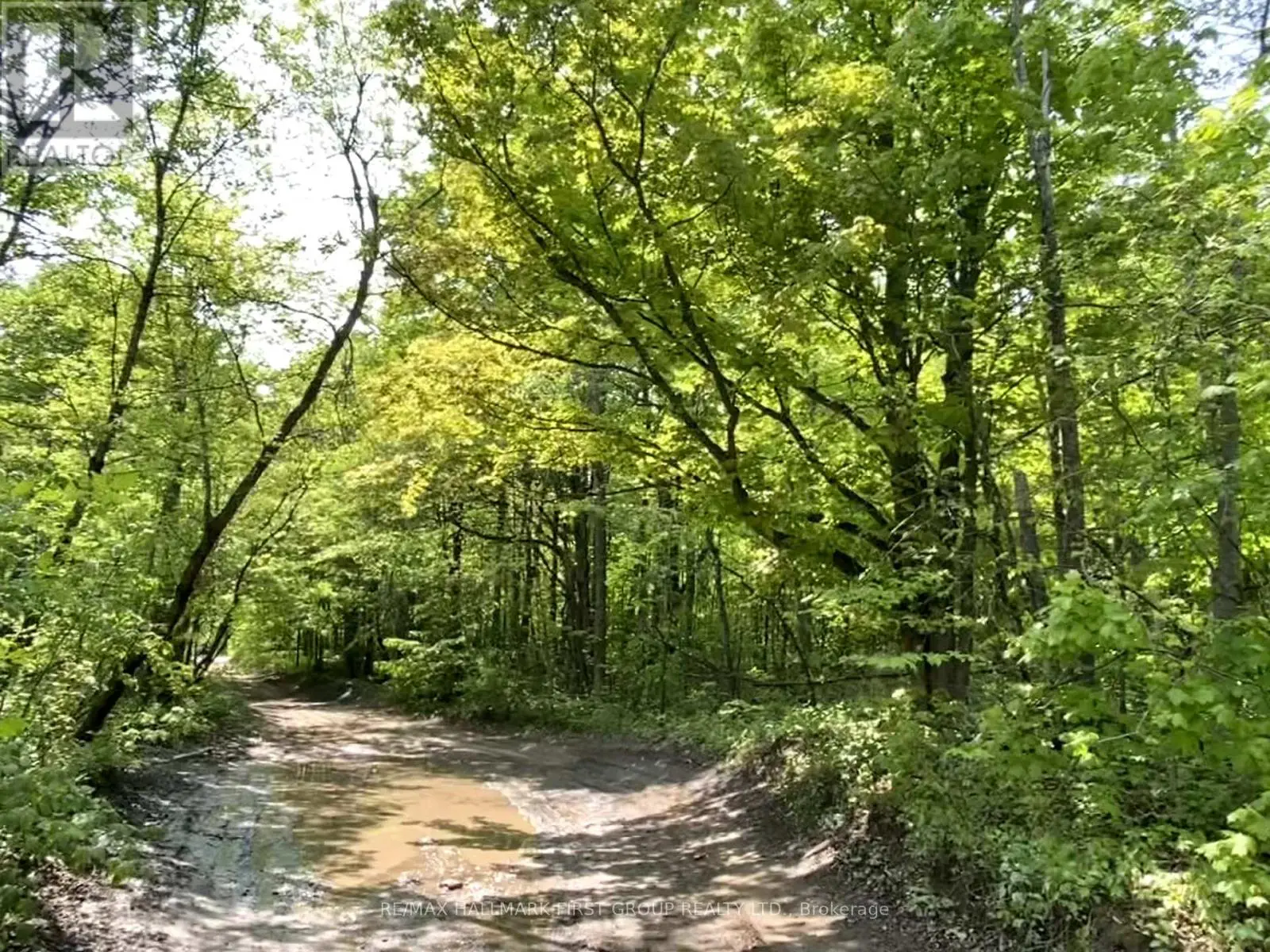 N/a Boundary Road, Scugog, Ontario  L9L 1B3 - Photo 1 - E11991911