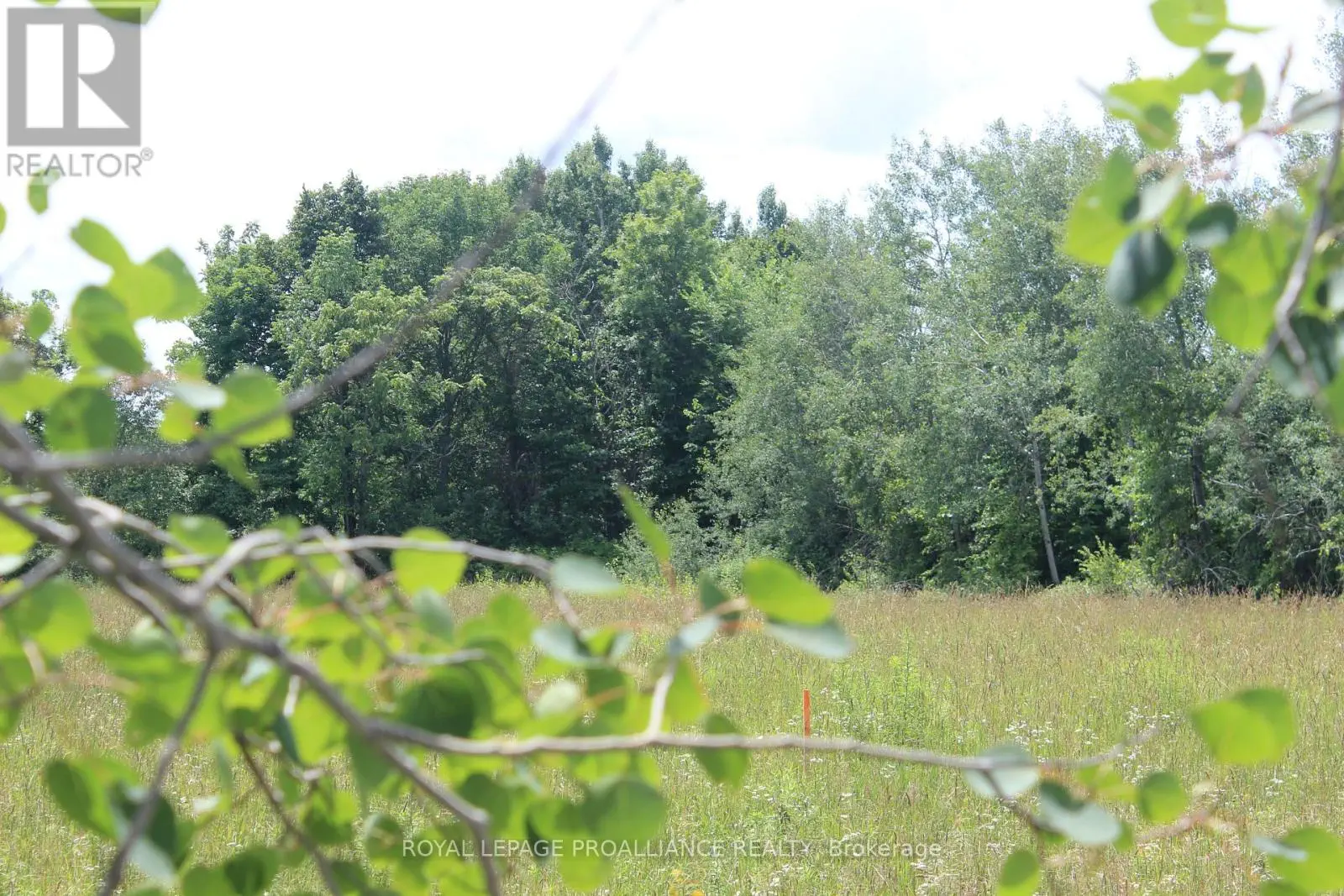 1064 Quin Mo Lac Road, Centre Hastings, Ontario  K0K 3J0 - Photo 3 - X9009615