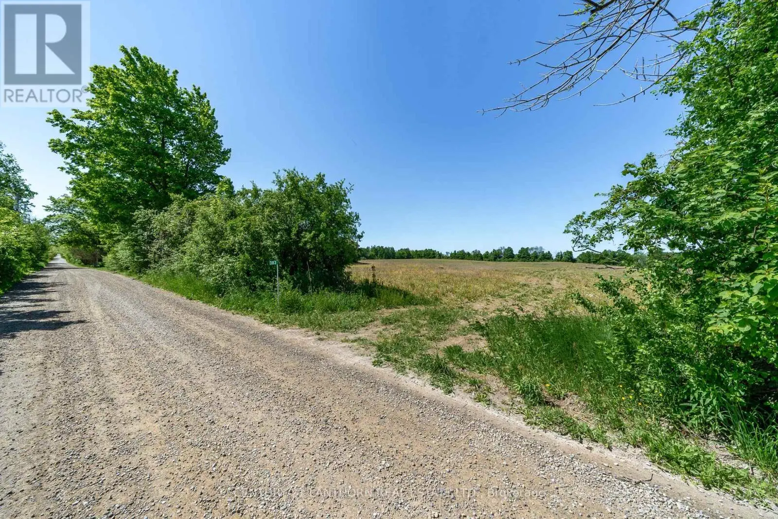 383 Chase Road, Prince Edward County, Ontario  K0K 2J0 - Photo 2 - X12005935