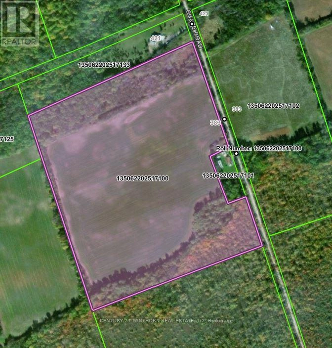 383 Chase Road, Prince Edward County, Ontario K0K 2J0 - Photo 4 - X12005935