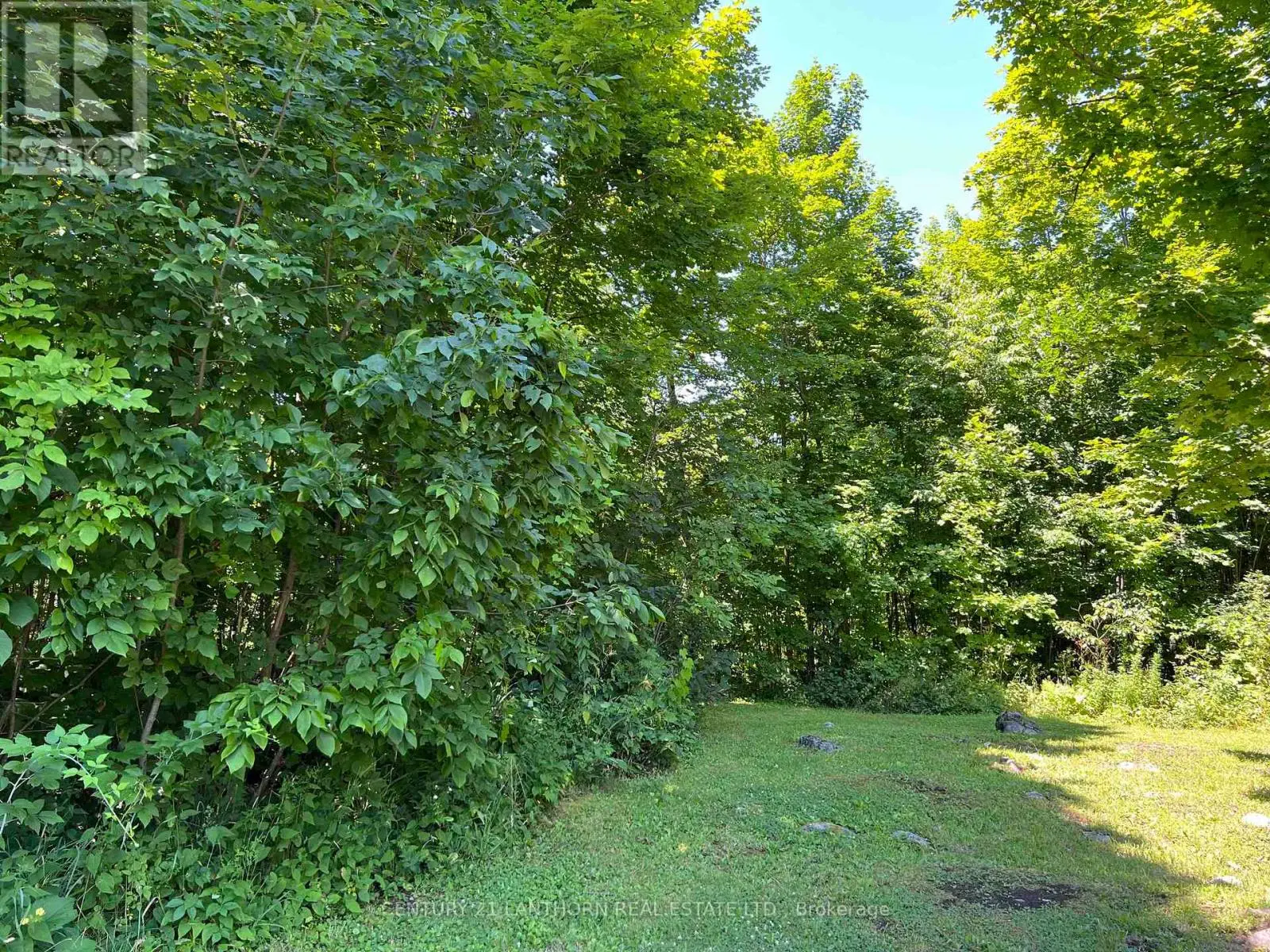 0 Luffman Road, Tweed, Ontario  K0K 2L0 - Photo 2 - X11951377