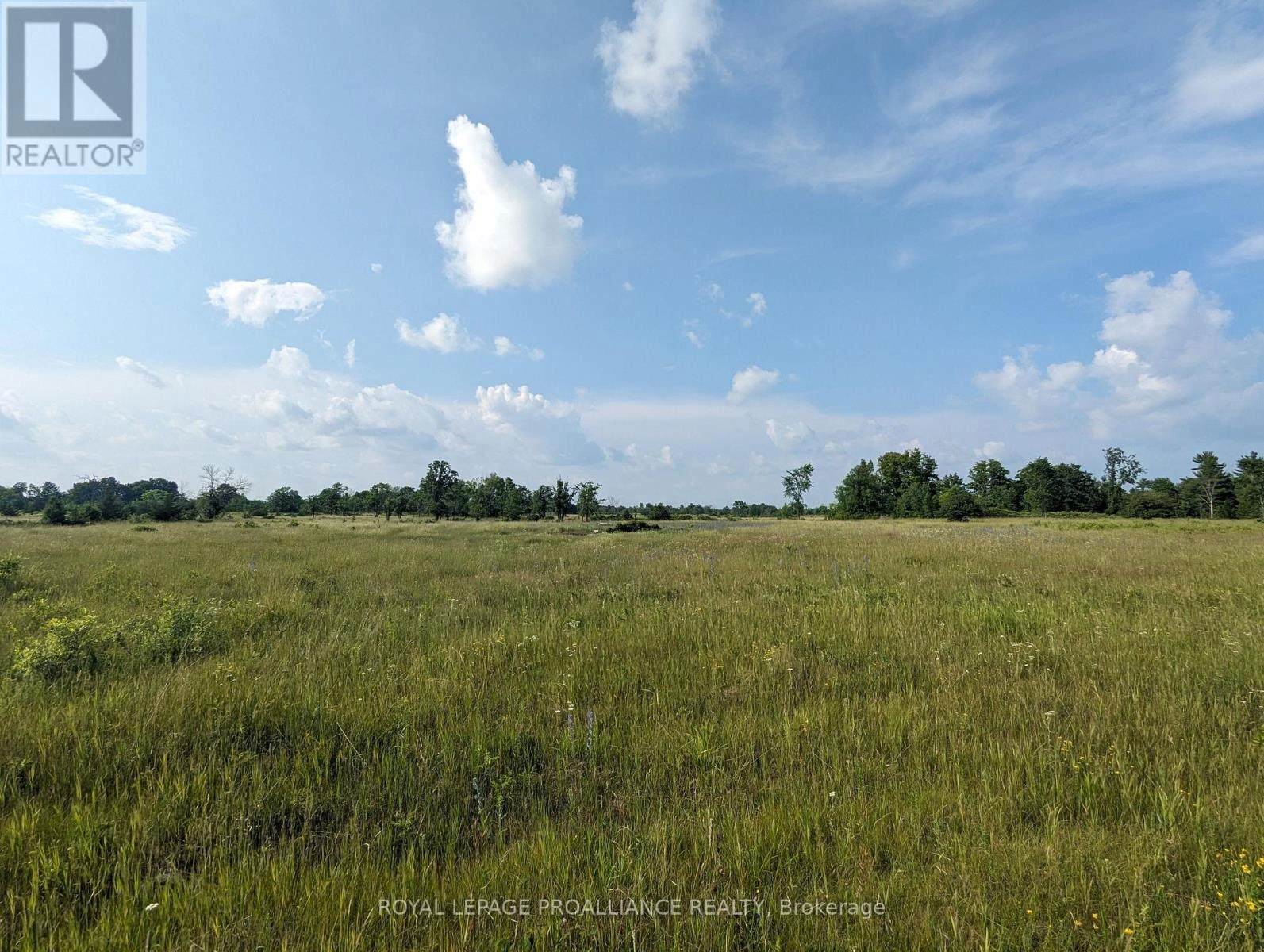 0 (B) SPRINGBROOK ROAD, Stirling-Rawdon, Ontario