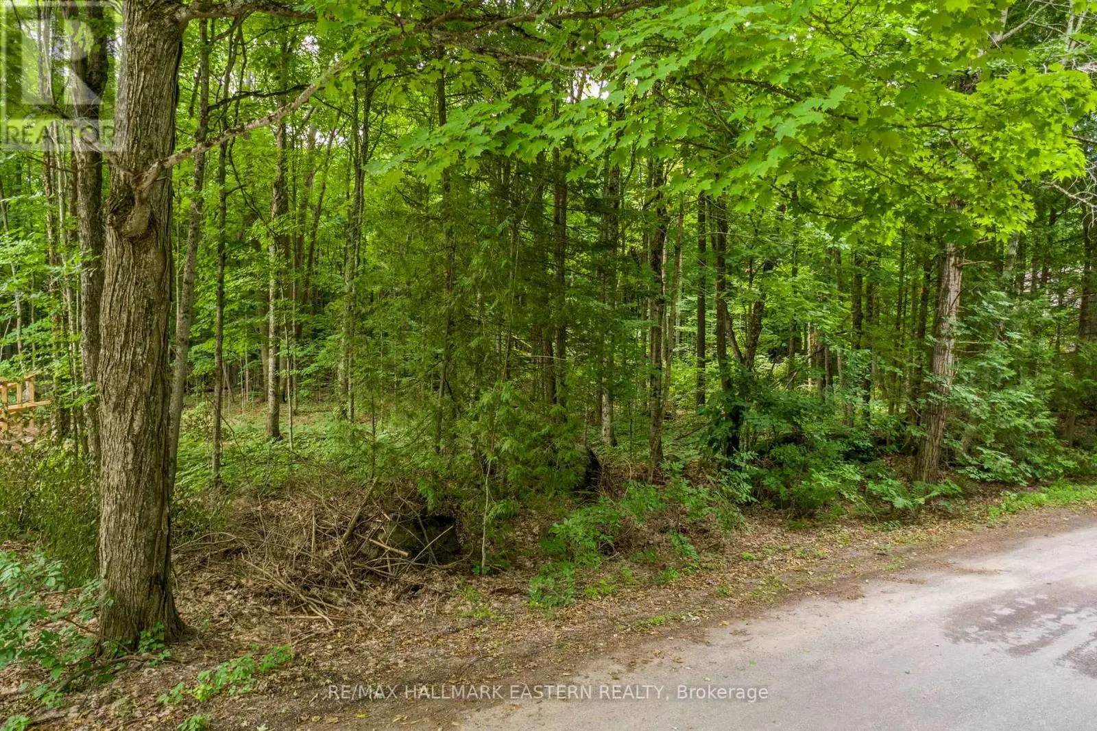 0 Teds Lane, Trent Lakes, Ontario  K0L 1J0 - Photo 3 - X12008415