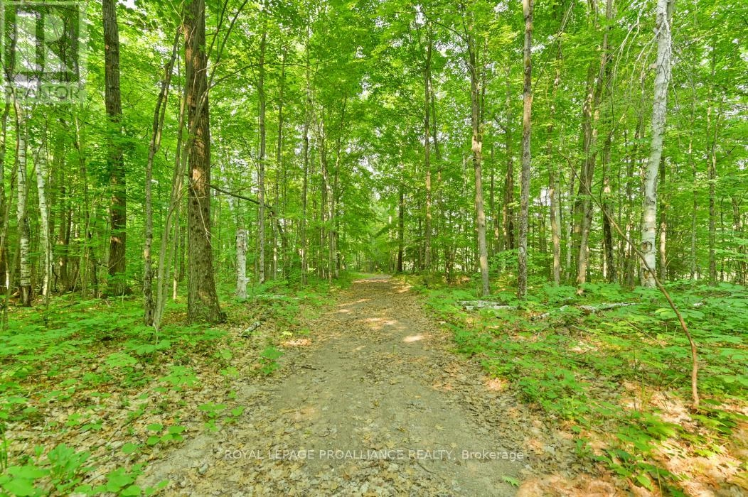 1971 Gull Lake Estates Lane, Frontenac, Ontario  K0H 1B0 - Photo 3 - X12015357