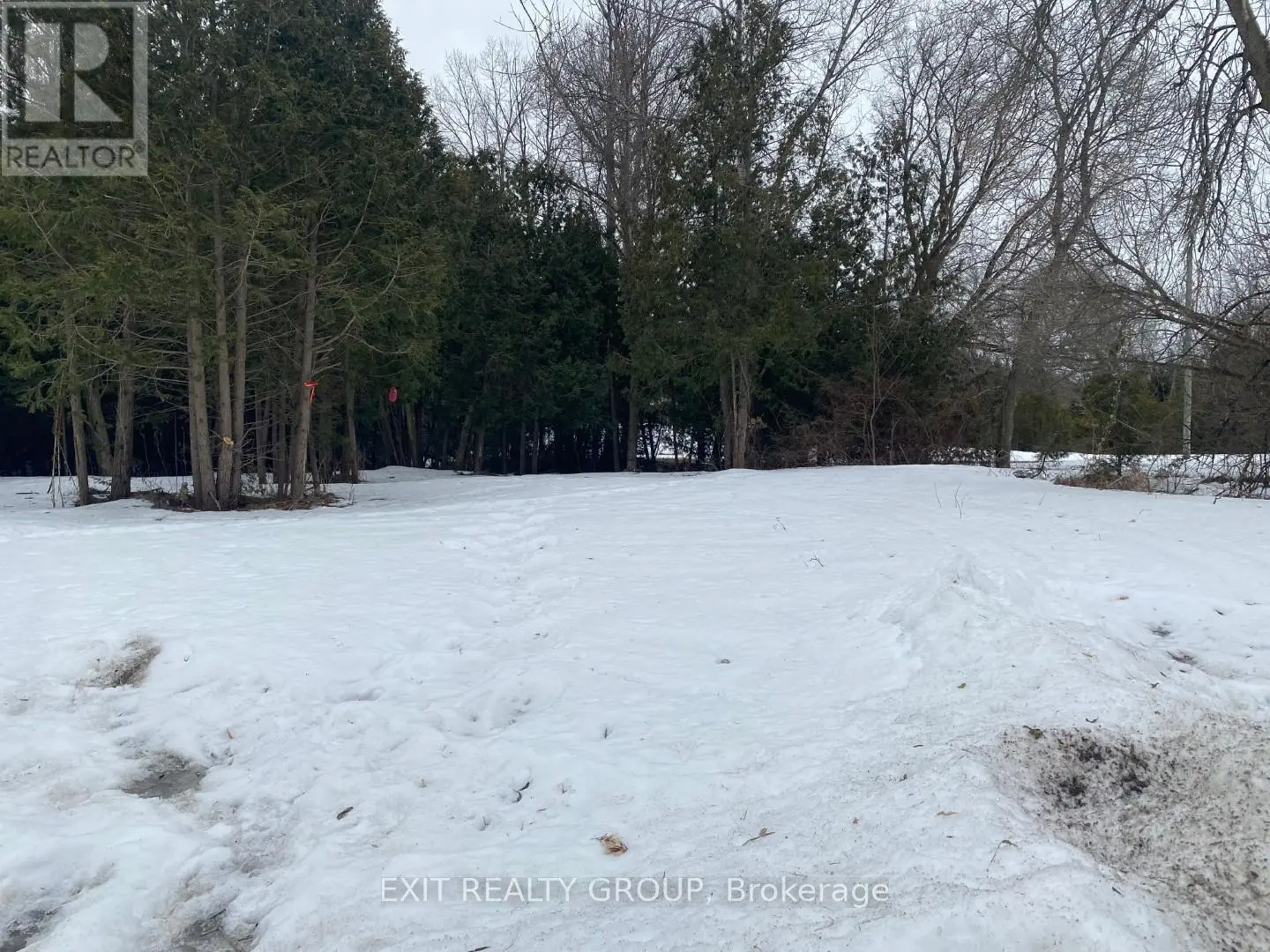 362 Glen Ross Road, Quinte West, Ontario  K0K 2C0 - Photo 3 - X12015753
