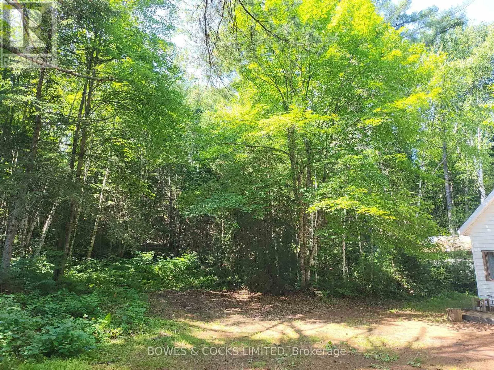 24 Robinson Road, Hastings Highlands, Ontario  K0L 2S0 - Photo 3 - X12019701