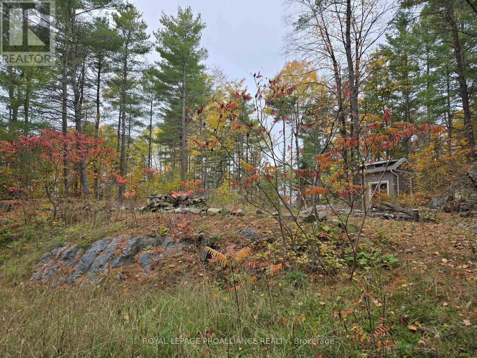 1419 Turtle Lake Lane, Frontenac, Ontario  K0H 2M0 - Photo 3 - X12019703