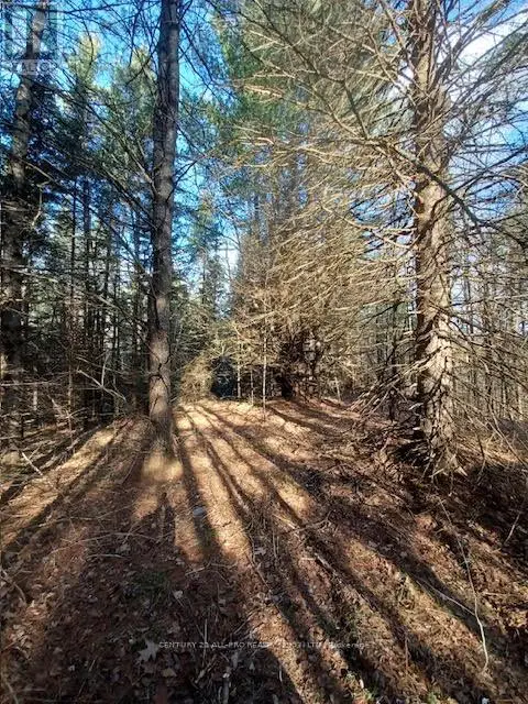 177 Dick Martin Road, North Kawartha, Ontario  K0L 1A0 - Photo 1 - X12022718