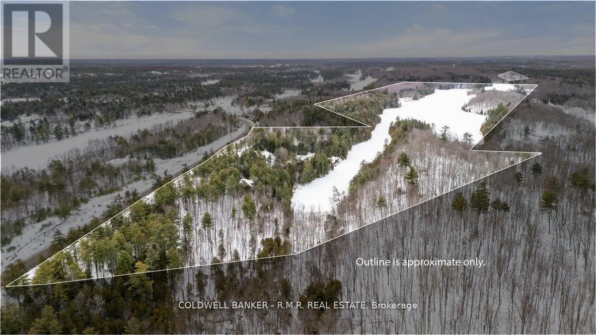 8860 County Rd 41, Addington Highlands, Ontario  K0H 2A0 - Photo 3 - X11979043