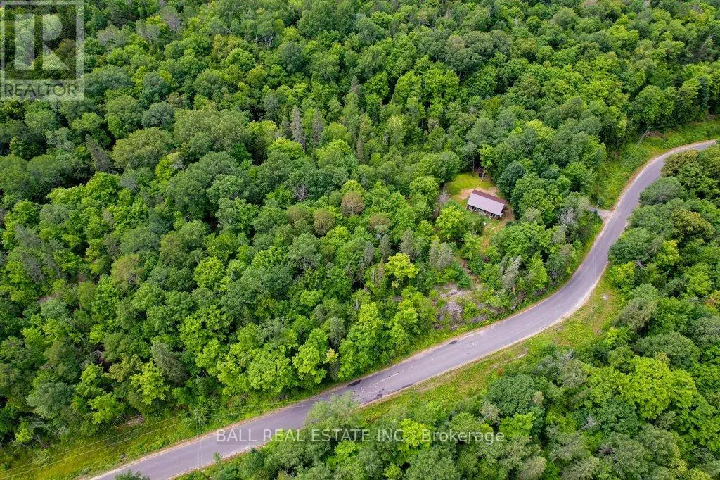 1794 Hadlington Road, Highlands East, Ontario  K0L 2Y0 - Photo 3 - X12024129