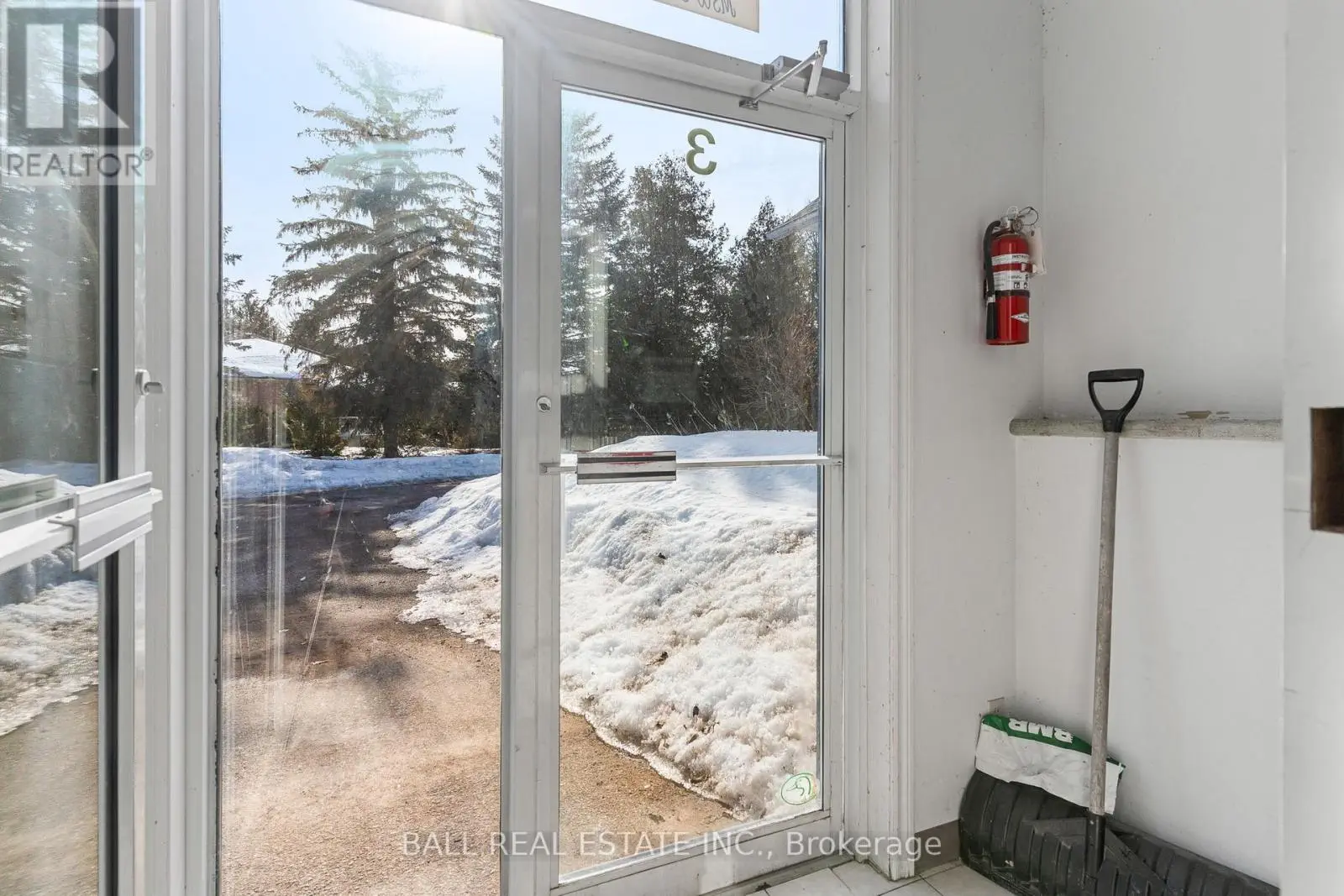 Lower - 100 East Street S, Kawartha Lakes, Ontario  K0M 1A0 - Photo 3 - X12024622