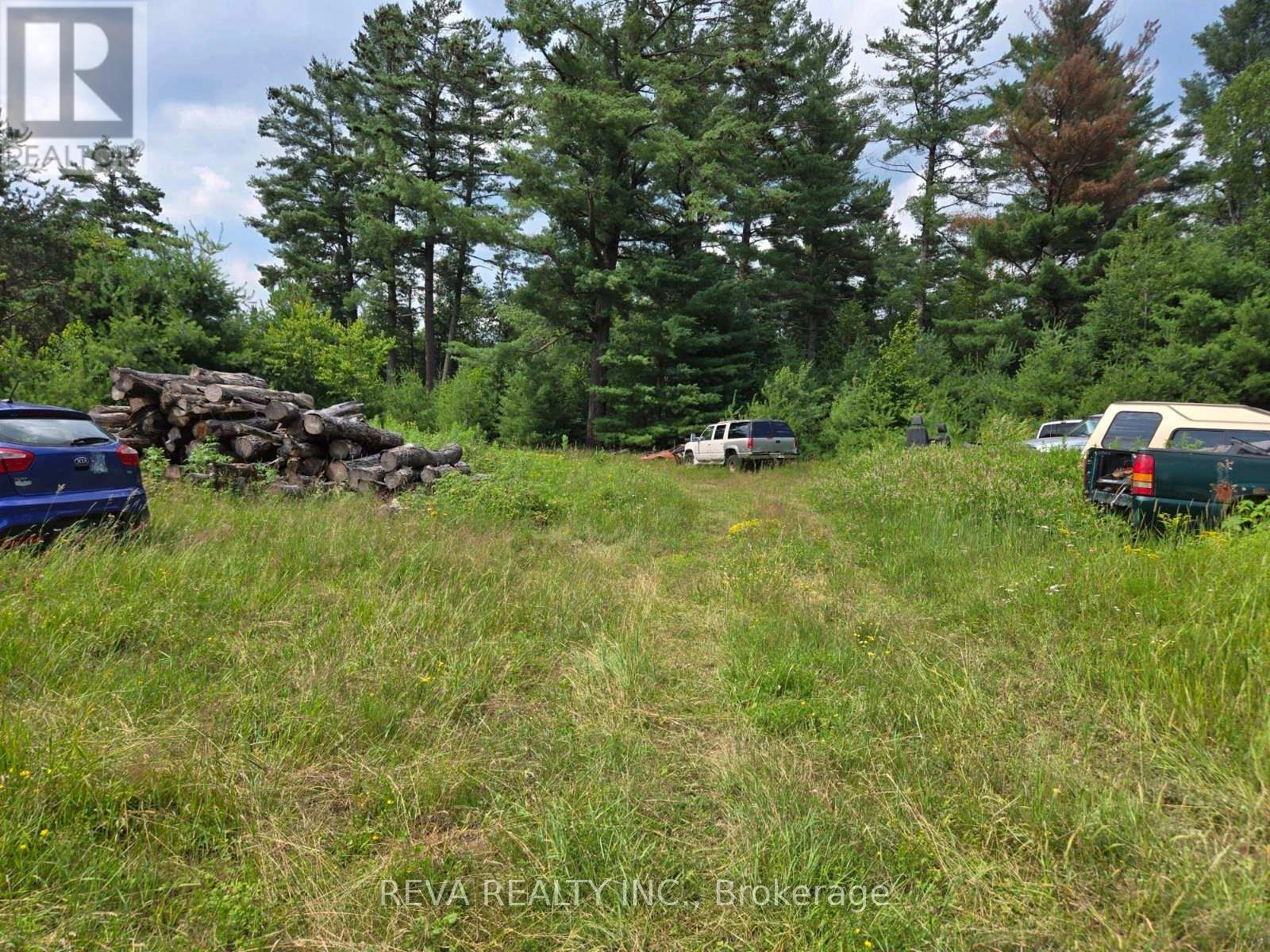 30560 Highway 62 N, Hastings Highlands, Ontario  K0L 1C0 - Photo 4 - X12024650