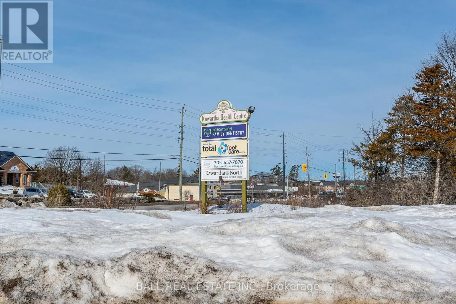 Lower - 100 East Street S, Kawartha Lakes, Ontario  K0M 1A0 - Photo 2 - X12024622