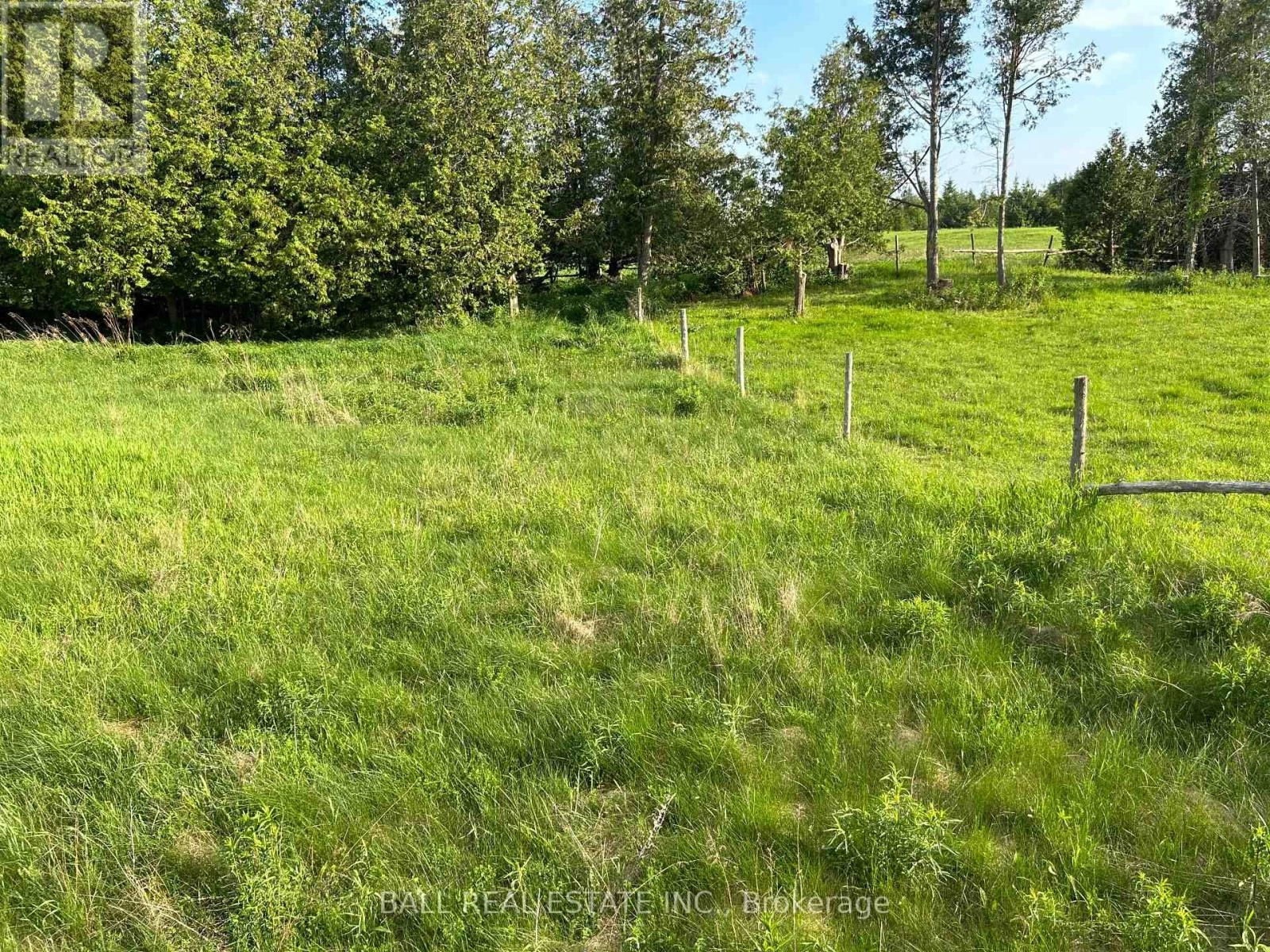 1982 Asphodel 8th Line, Asphodel-Norwood, Ontario K0L 2V0 - Photo 6 - X12025308