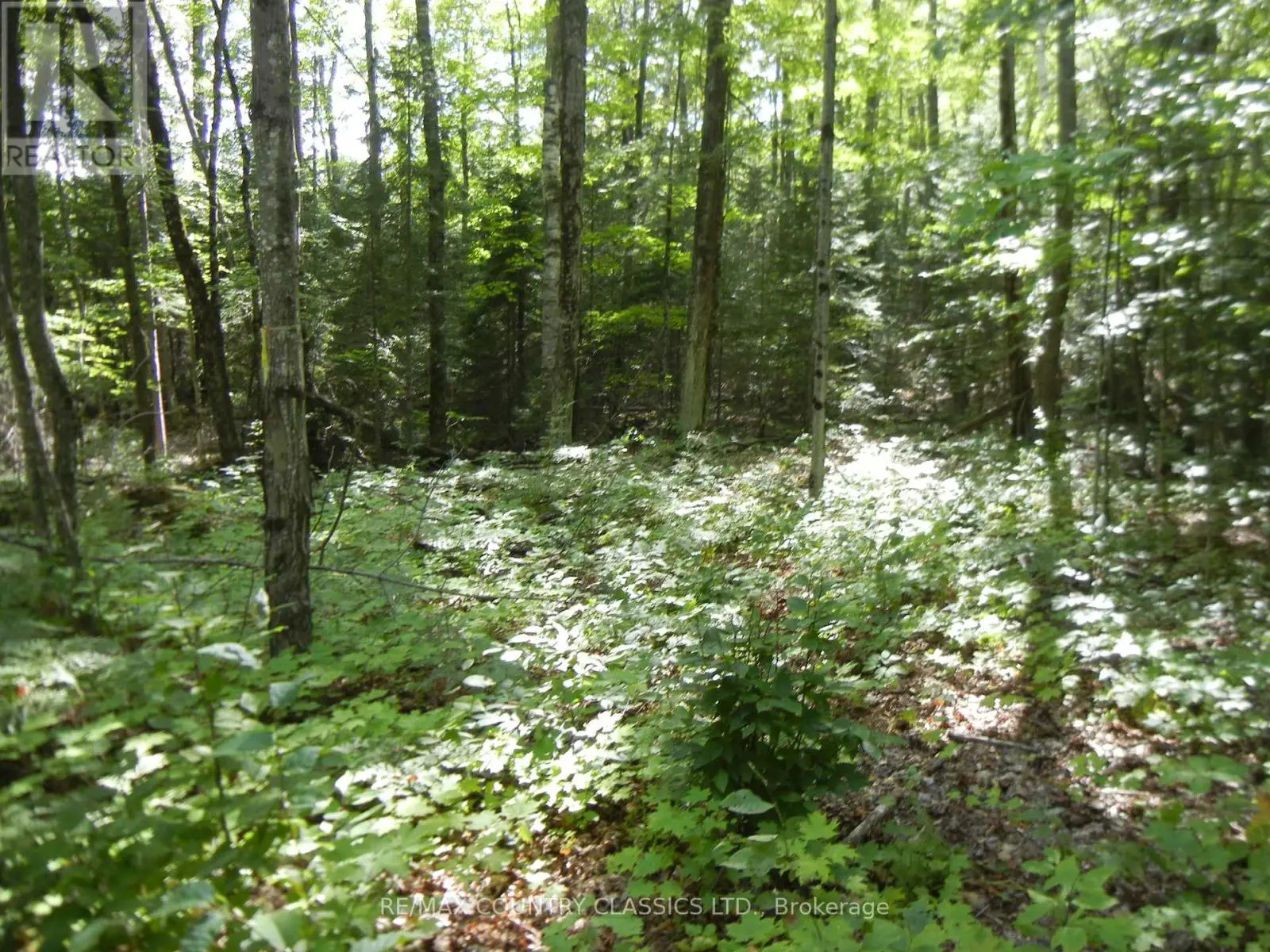0 Glen Alda Road, North Kawartha, Ontario  K0L 1A0 - Photo 3 - X12025312