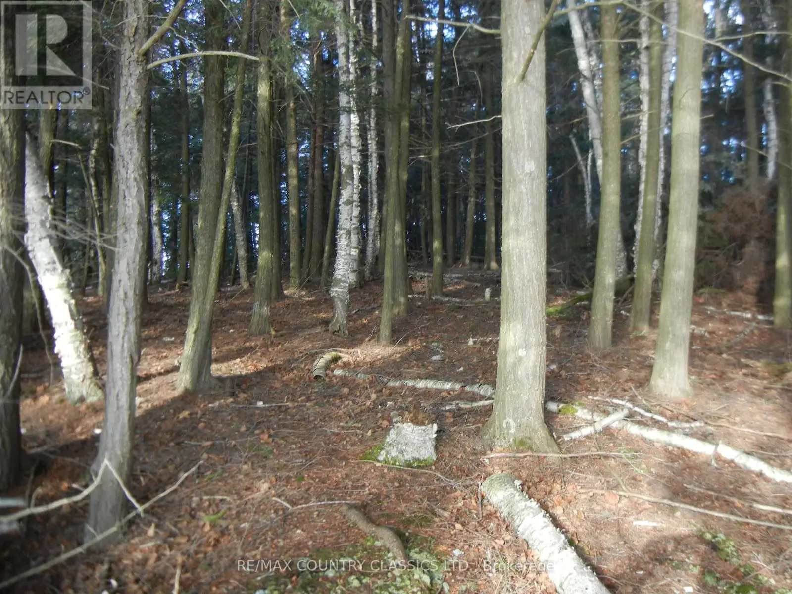 0 Knox Point Road, North Kawartha, Ontario  K0L 1A0 - Photo 2 - X12025420