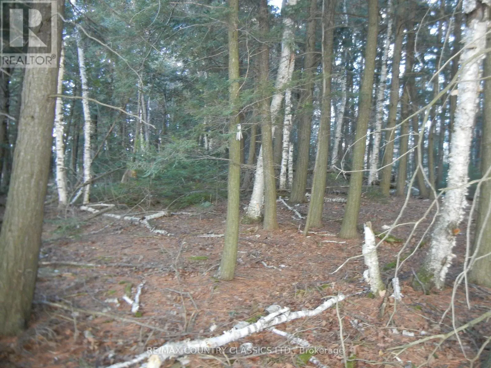 0 Knox Point Road, North Kawartha, Ontario  K0L 1A0 - Photo 3 - X12025420
