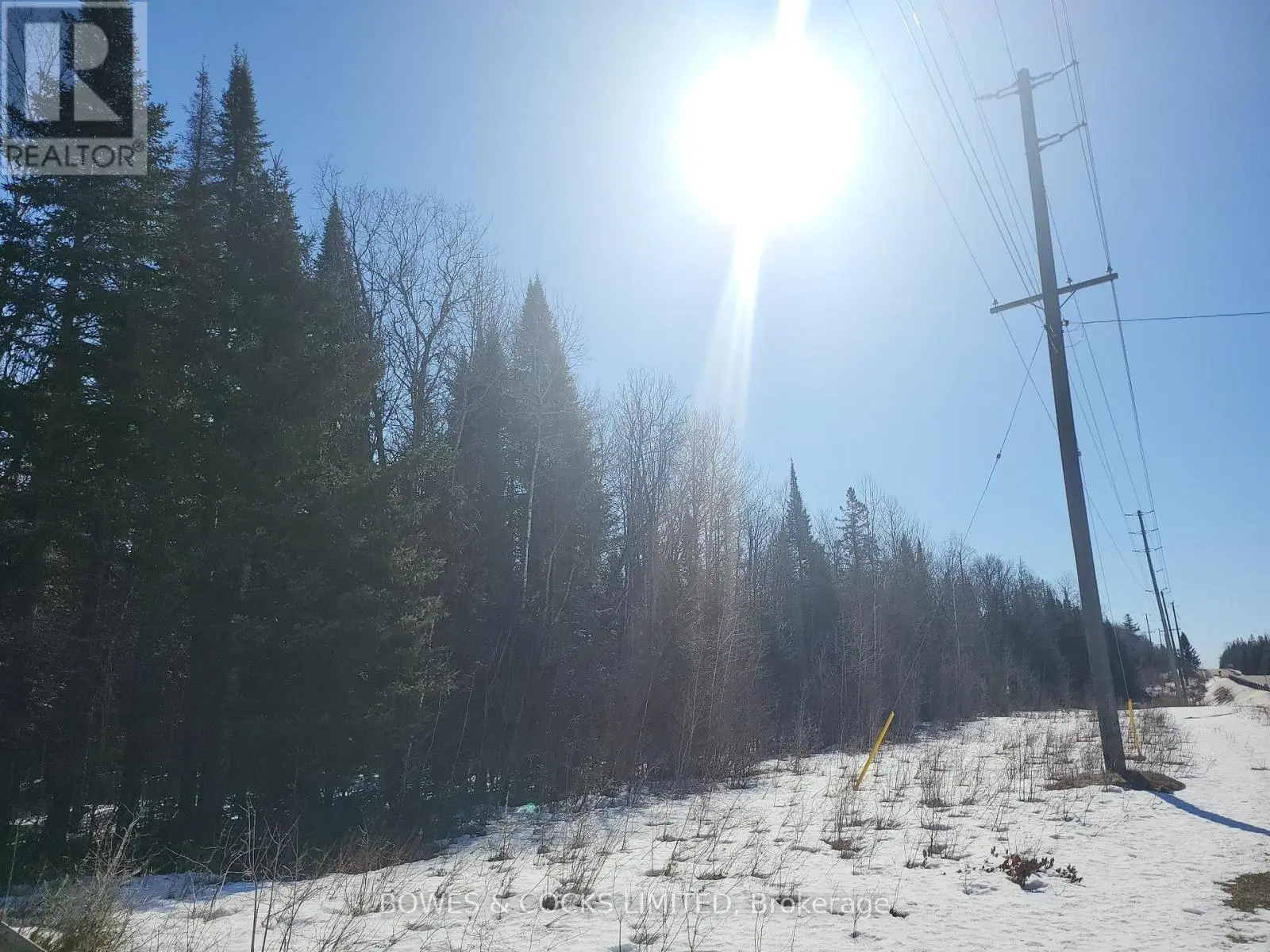 0 Highway 62 N, Hastings Highlands, Ontario  K0L 2S0 - Photo 3 - X12022682