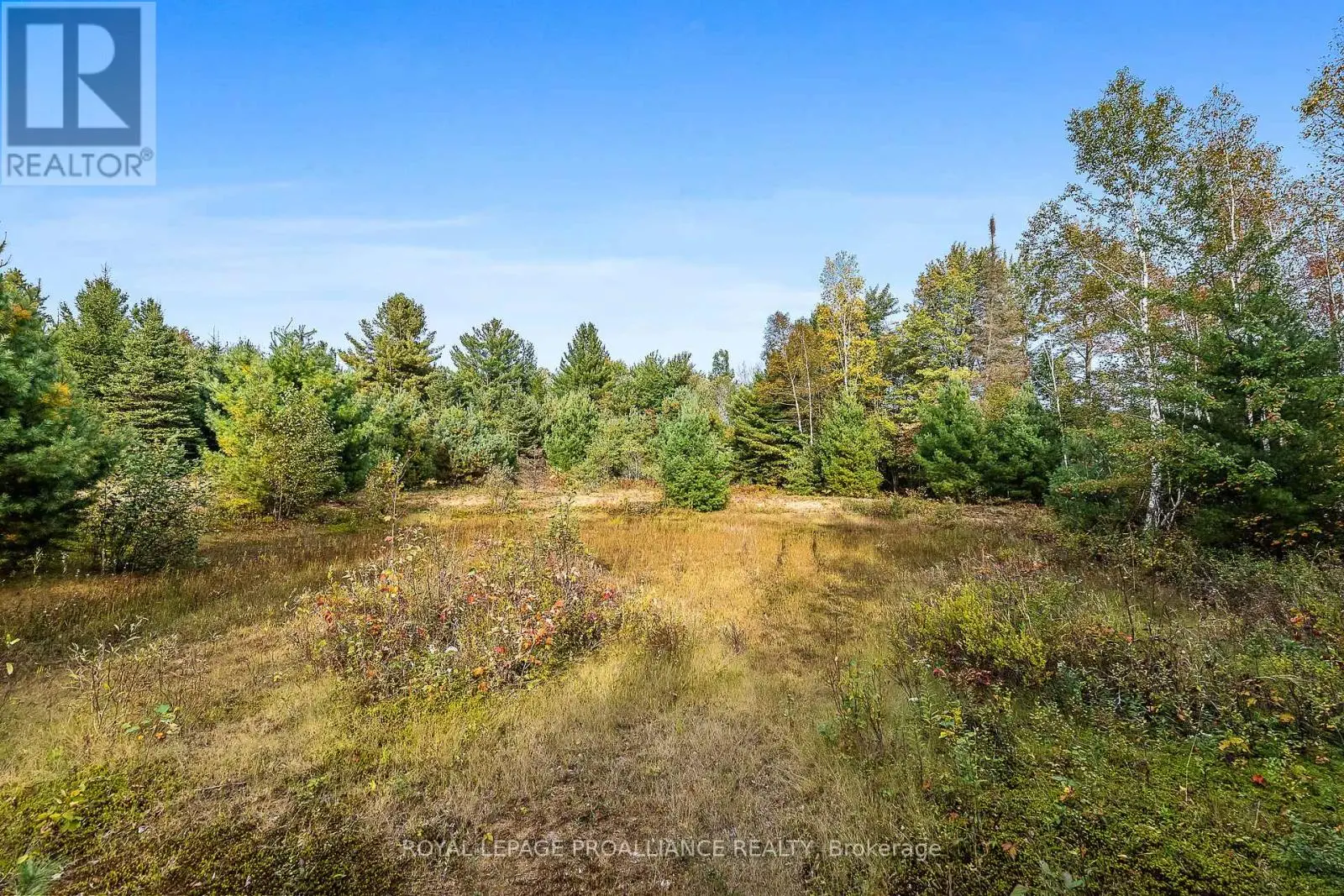 00 Highway 41, Addington Highlands, Ontario  K0H 1Z0 - Photo 1 - X12026978