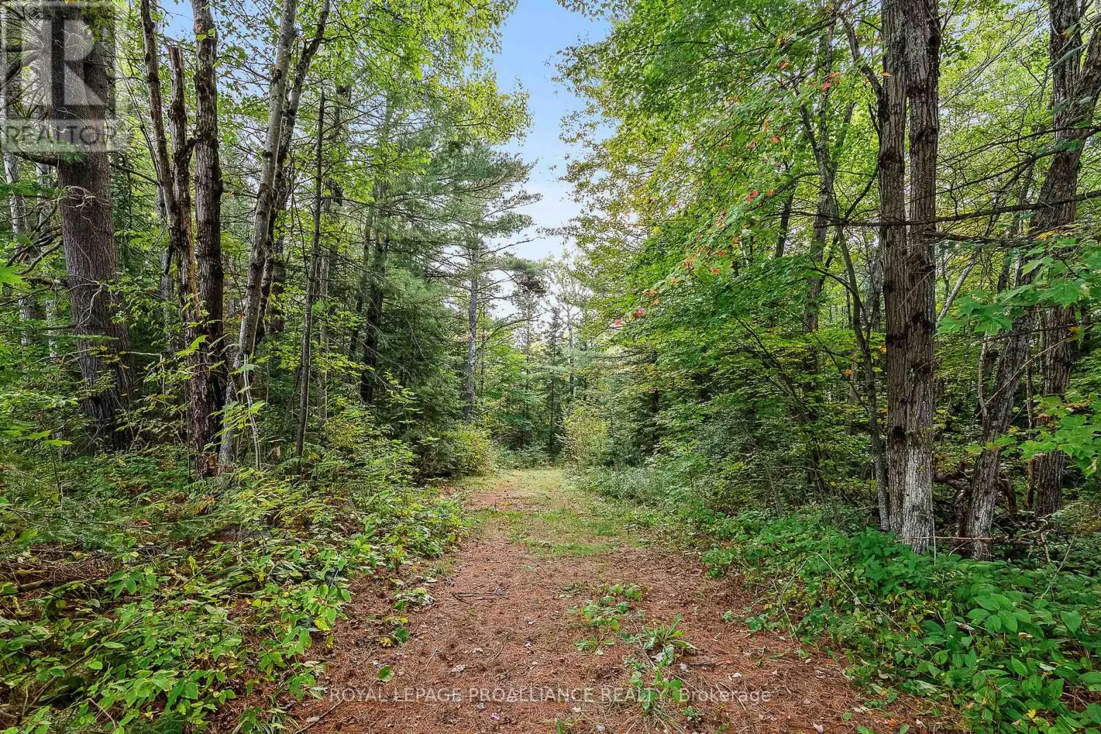 00 Highway 41, Addington Highlands, Ontario  K0H 1Z0 - Photo 3 - X12026978