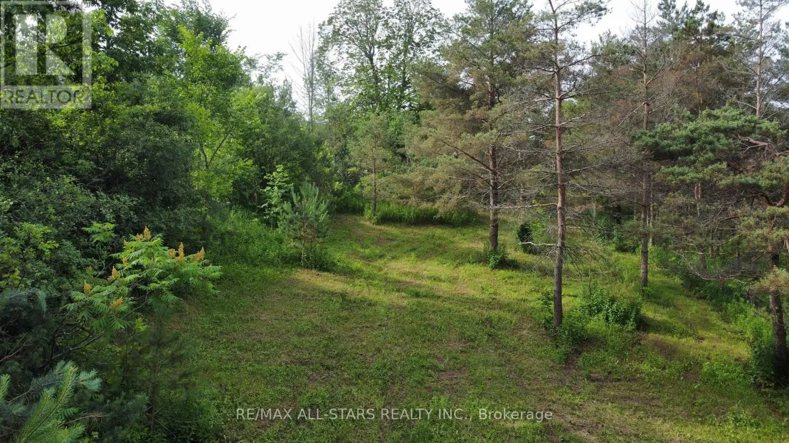 283 Bland Line, Cavan Monaghan, Ontario  L0A 1C0 - Photo 2 - X12028861