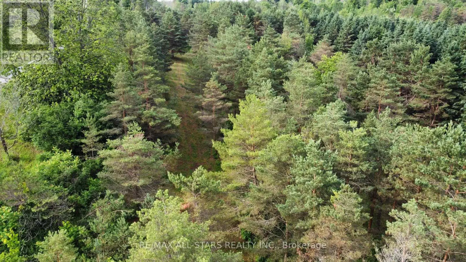 283 Bland Line, Cavan Monaghan, Ontario  L0A 1C0 - Photo 3 - X12028861