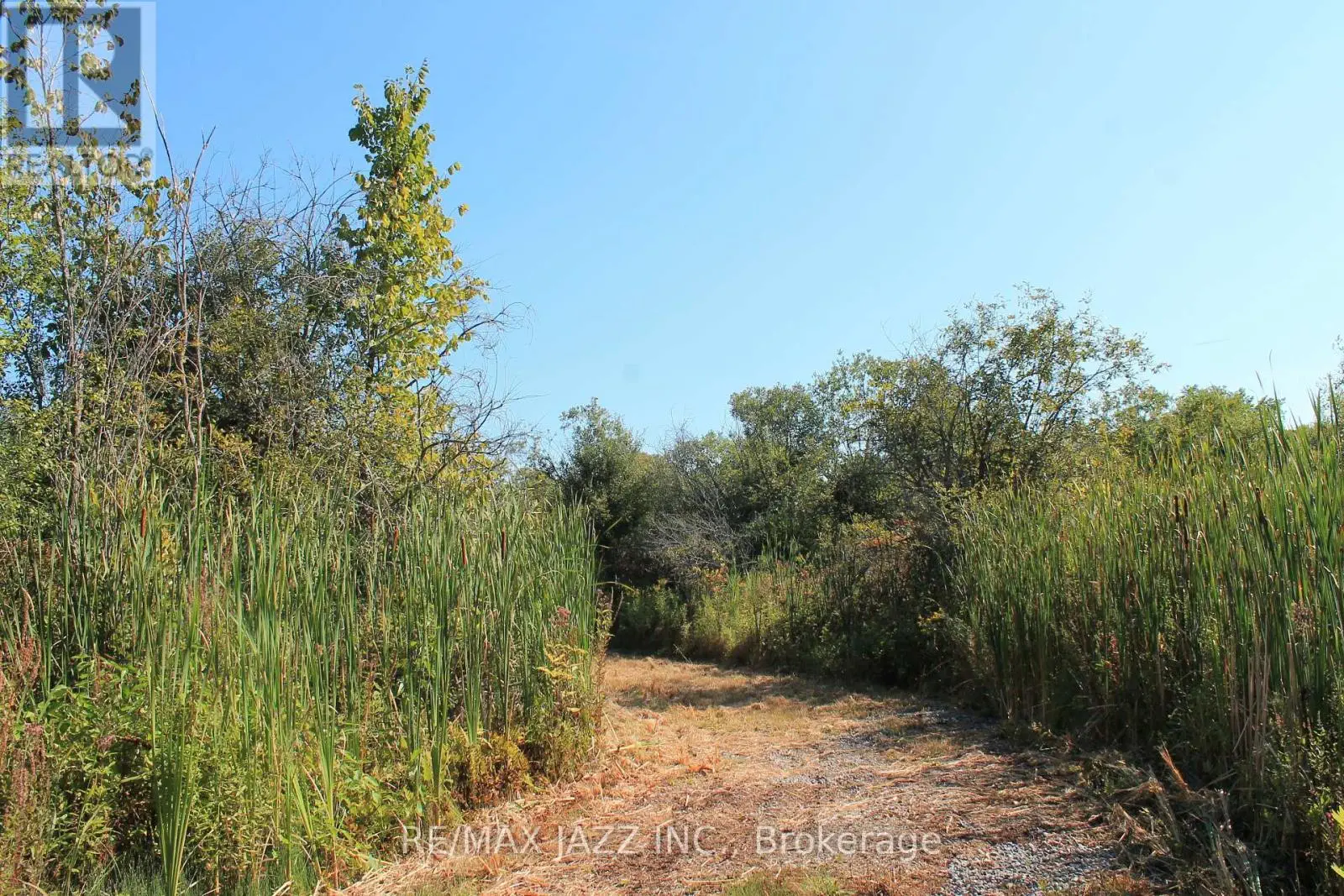 0 Mitchell Road, Cramahe, Ontario  K0K 1S0 - Photo 2 - X12032652