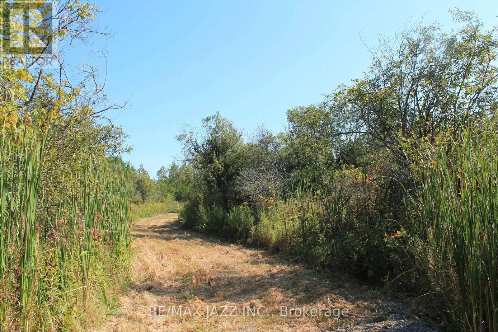 0 Mitchell Road, Cramahe, Ontario  K0K 1S0 - Photo 3 - X12032652