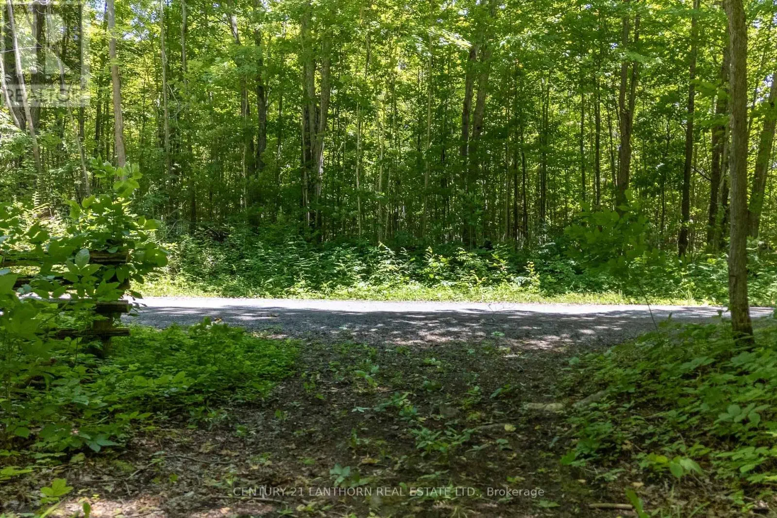 55 Post Road, Centre Hastings, Ontario  K0K 3H0 - Photo 3 - X12033120