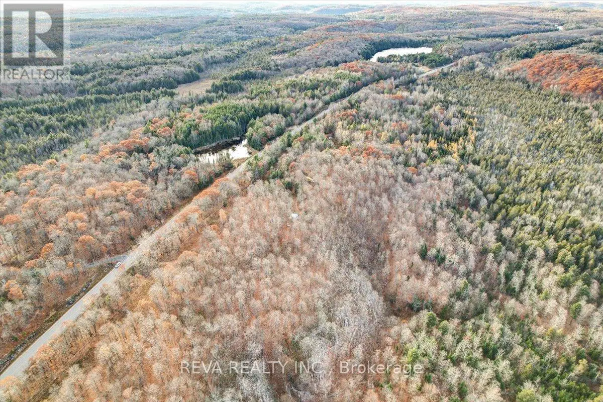 603 Buckshot Lake Road, Addington Highlands, Ontario  K0H 1K0 - Photo 3 - X9376659