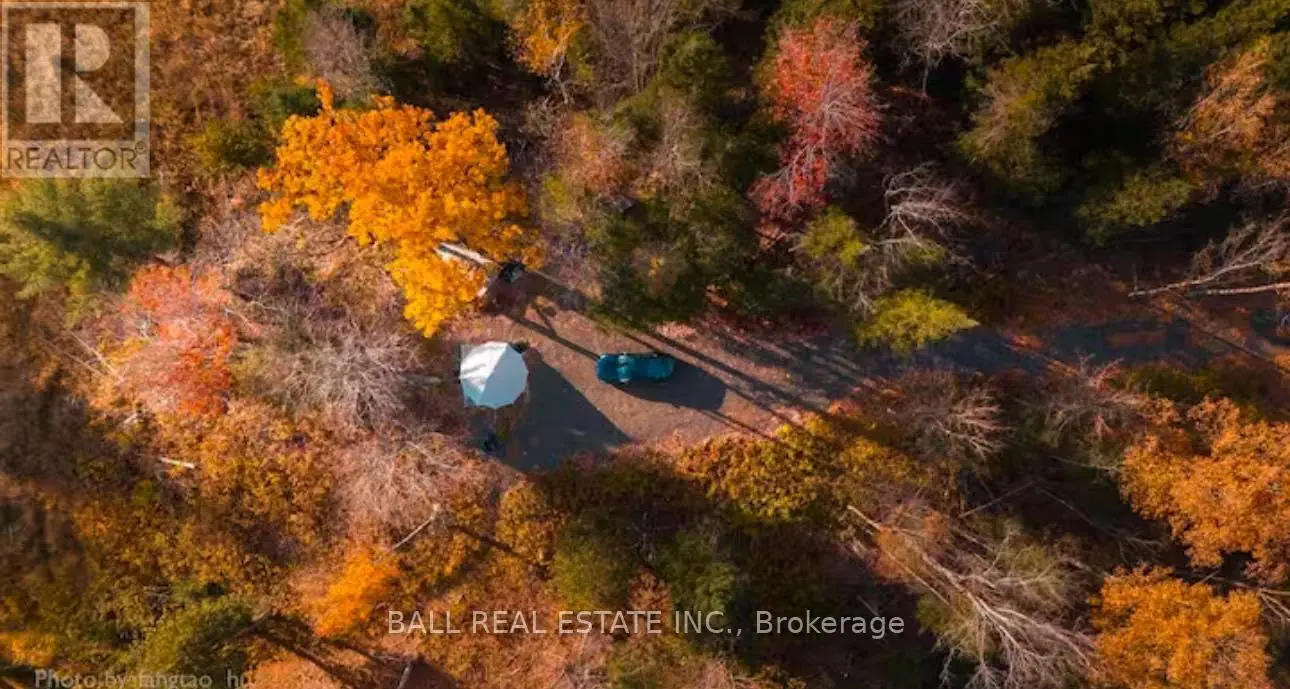 0 Cillca Drive, Faraday, Ontario  K0L 1C0 - Photo 3 - X12040924