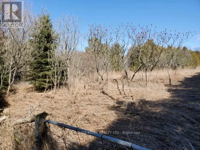 0 Slater Street, Hamilton Township, Ontario  K9A 4J9 - Photo 2 - X12041229