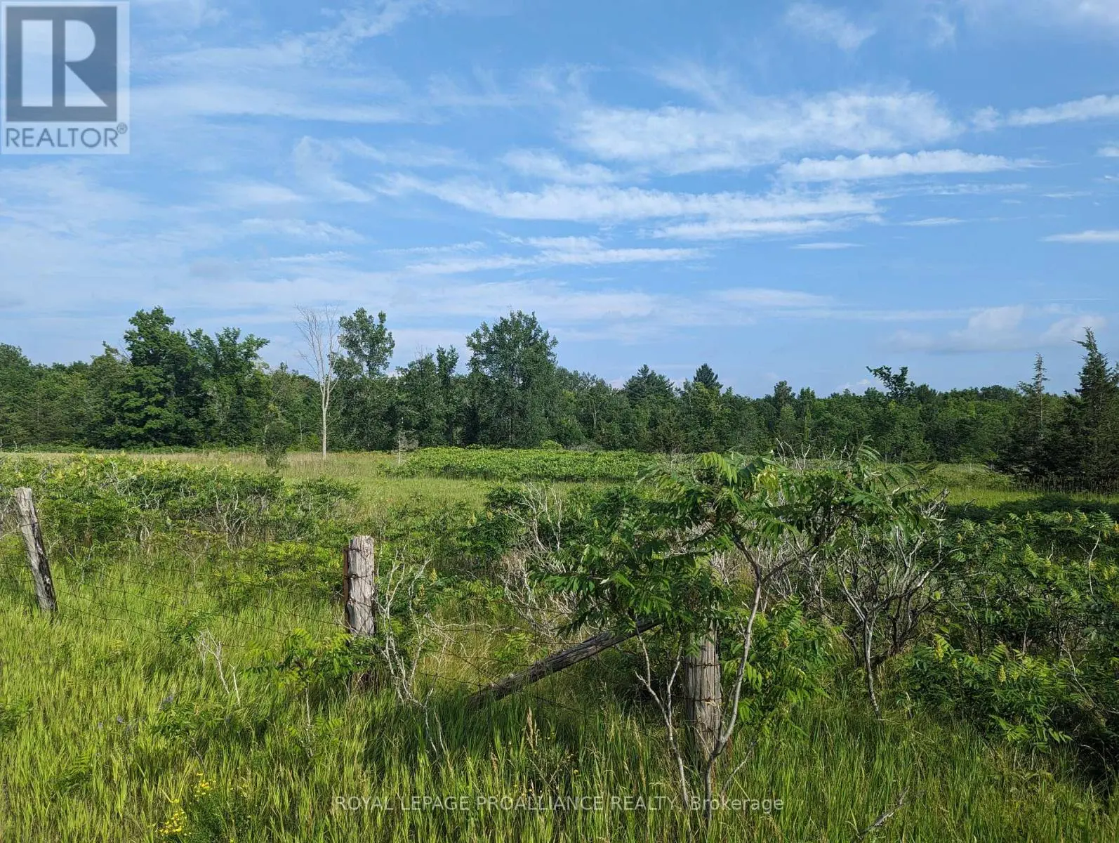 0 (C) Springbrook Road, Stirling-Rawdon, Ontario  K0K 2T0 - Photo 3 - X12046015