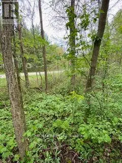 00 Rooney Road, Edwardsburgh/cardinal, Ontario  K0E 1T0 - Photo 2 - X11948731
