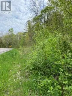 00 Rooney Road, Edwardsburgh/cardinal, Ontario  K0E 1T0 - Photo 3 - X11948731