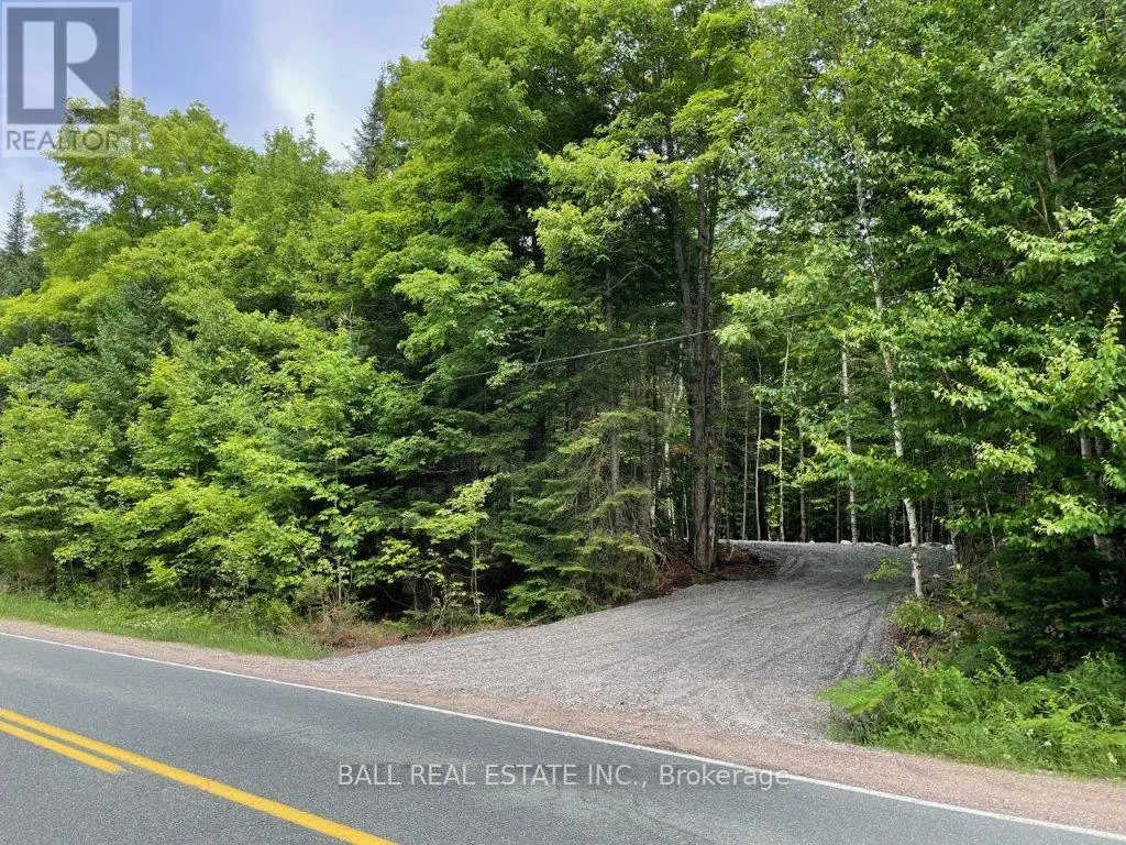 1350 HALIBURTON LAKE RD, Dysart et al, Ontario