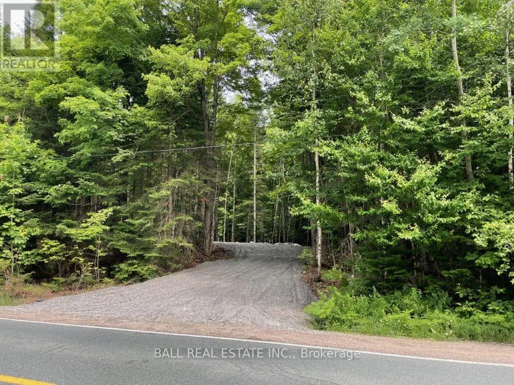1350 Haliburton Lake Rd, Dysart Et Al, Ontario  K0M 1S0 - Photo 2 - X12062081