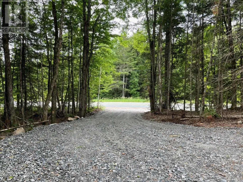 1350 Haliburton Lake Rd, Dysart Et Al, Ontario  K0M 1S0 - Photo 3 - X12062081