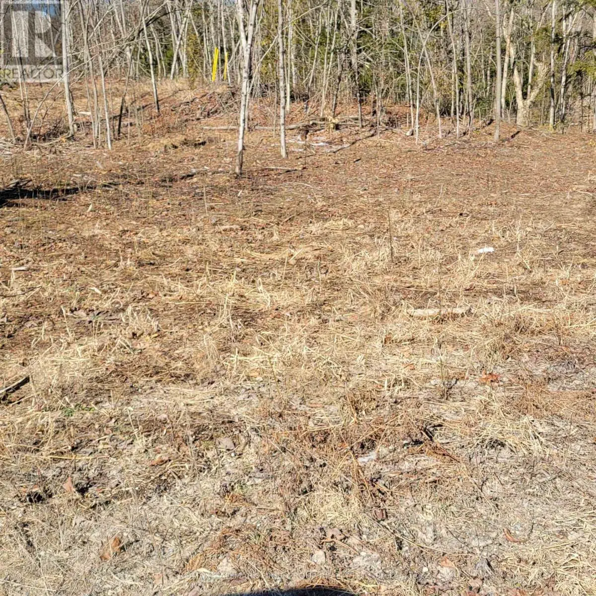 N/a Black River Road N, Tweed, Ontario  K0K 3J0 - Photo 2 - X12057885