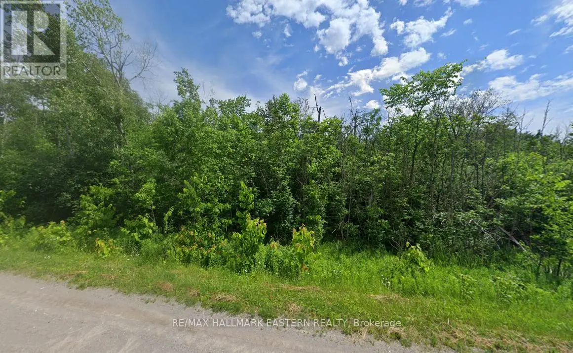 0 Mount Pleasant Road, Cavan Monaghan, Ontario  L0A 1C0 - Photo 1 - X12062620