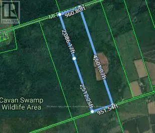 0 Mount Pleasant Road, Cavan Monaghan, Ontario  L0A 1C0 - Photo 2 - X12062620