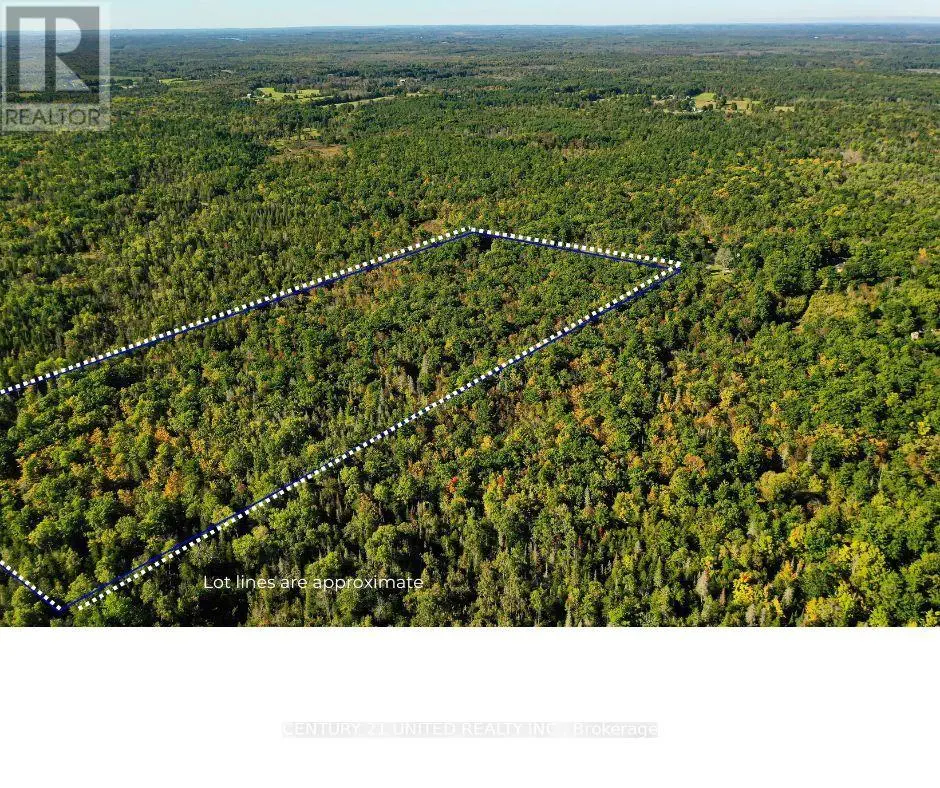 0 Mccleary Road, Marmora And Lake, Ontario  K0K 2M0 - Photo 3 - X12063297